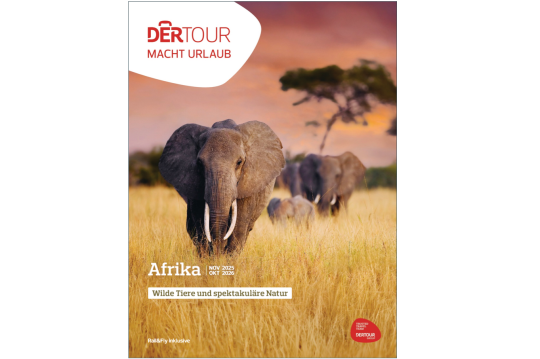 Dekorative Abbildung - DERTOUR Afrika 2025/2026