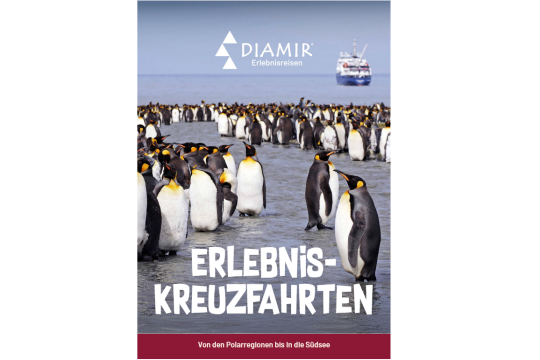 Dekorative Abbildung - Diamir Erlebniskreuzfahrten 2026