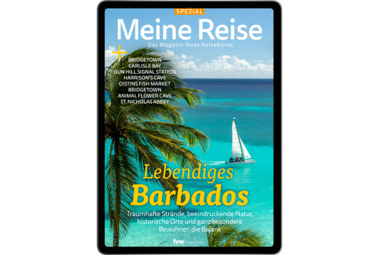 Dekorative Abbildung – Meine Reise_ Barbados Spezial