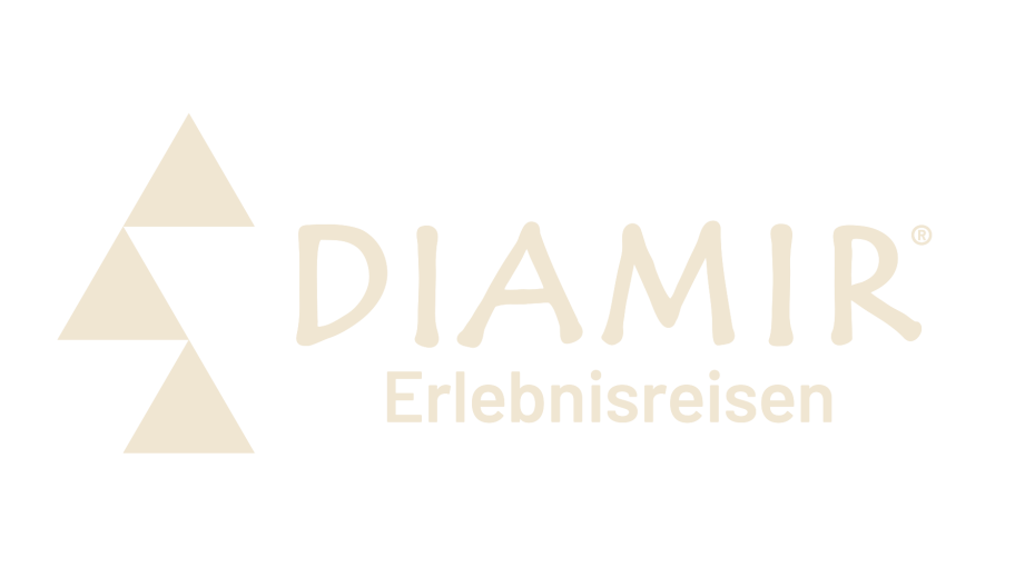 DIAMIR-Logo BEIGE transparent